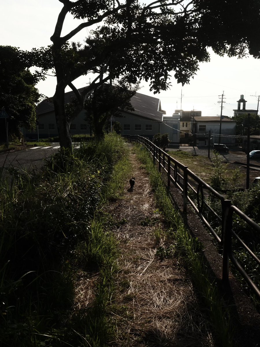 sugimigodai's tweet photo. 「　　」 https://t.co/lIo5ZWMS9e