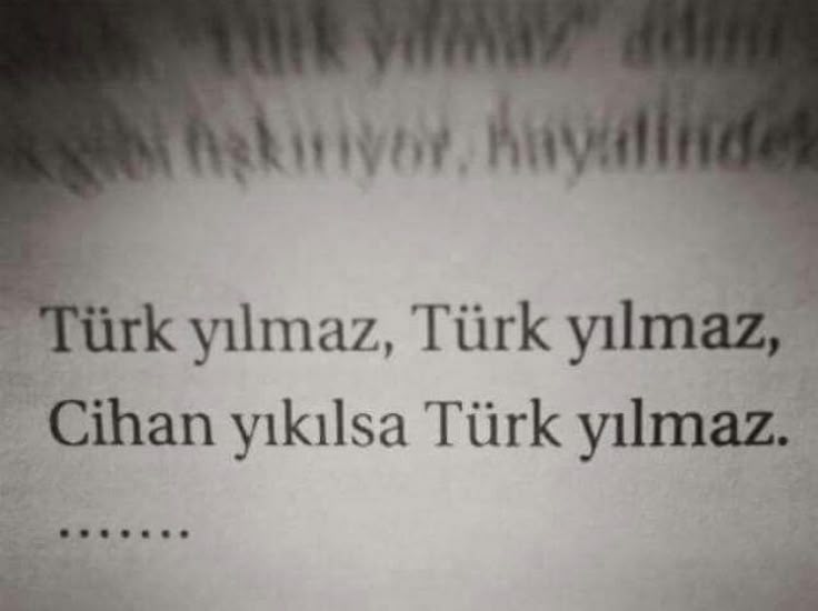 Türk, yılmaz.