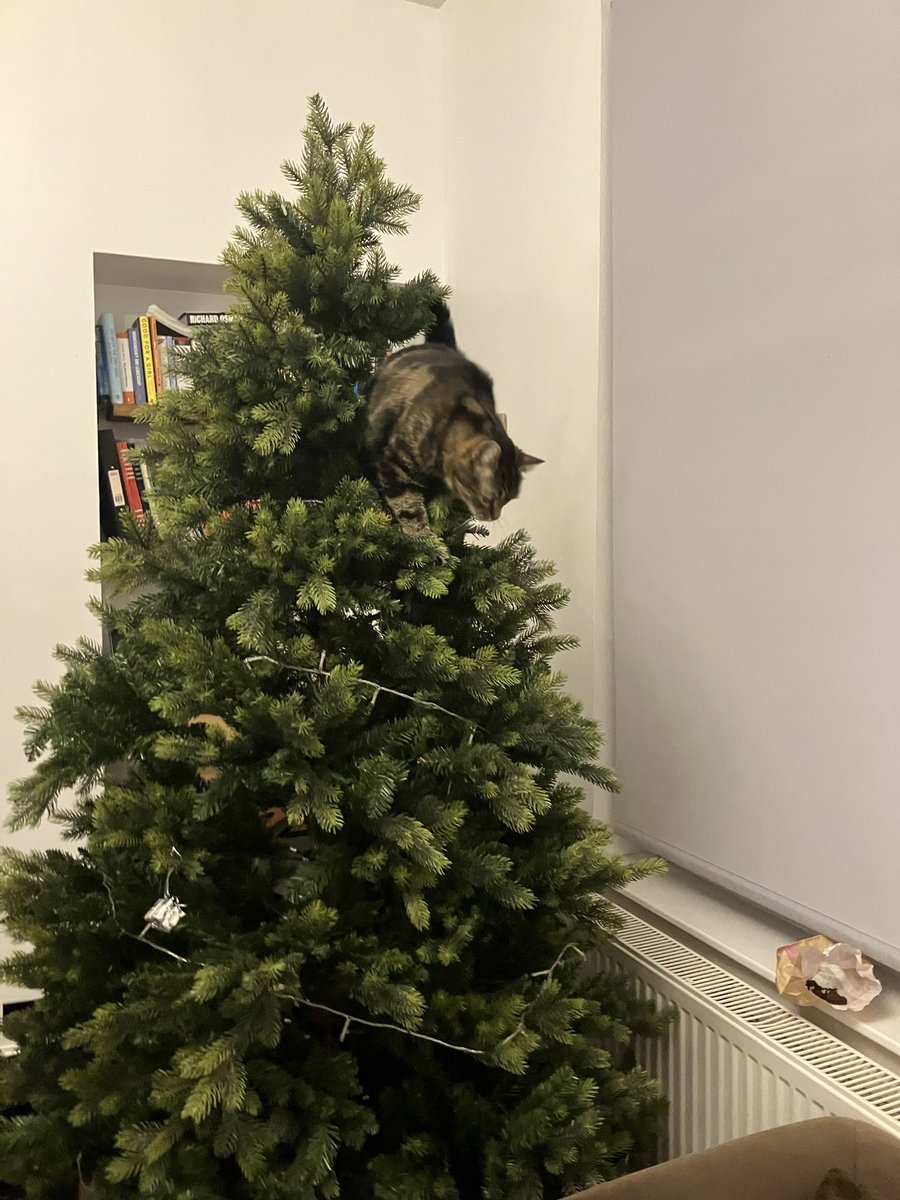 Elly.Gaunt_lab 💙 tweet media