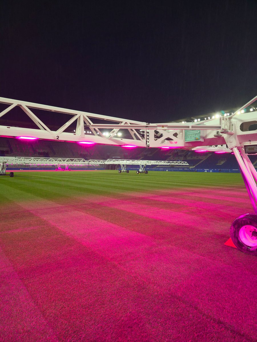 FLexGrass tweet media