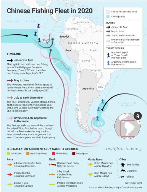 You can clearly see the route of illegal Chinese fishing fleet slithering on the coasts of South American nations. 

It is important that we uncover these illegal vessels to protect our biodiversity.