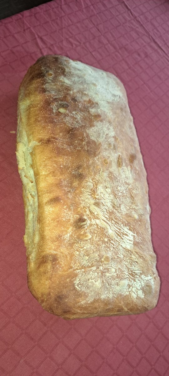 VMjerom's tweet image. Nema ga do domaceg.