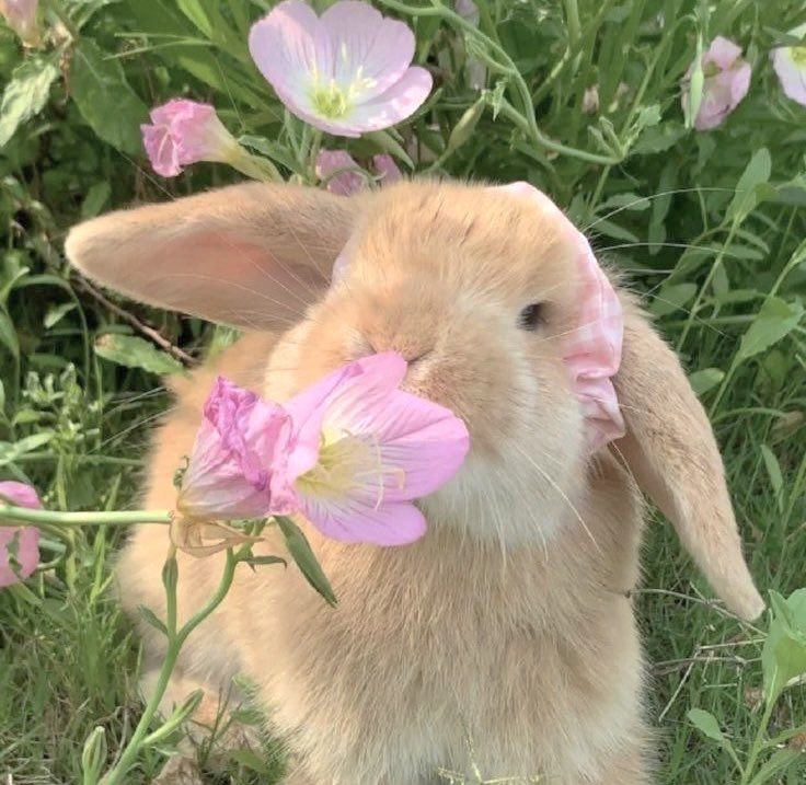 dreamyyarchive's tweet image. 