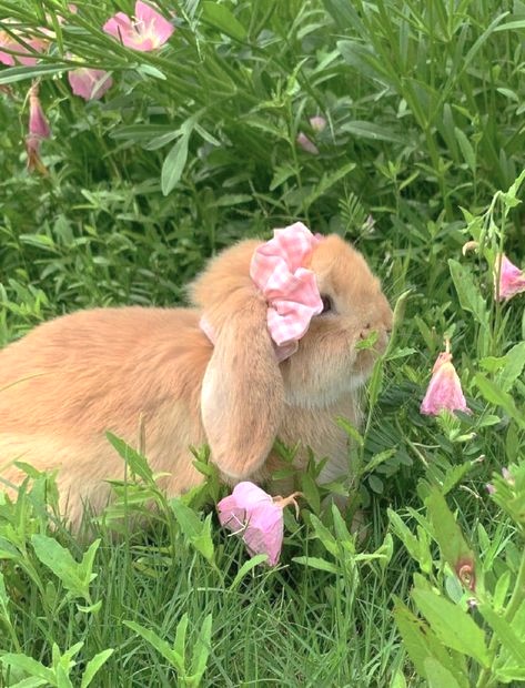 dreamyyarchive's tweet image. 