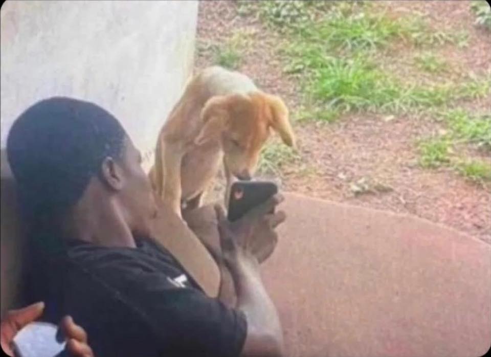 #NawaZone 📷🇳🇦 tweet media