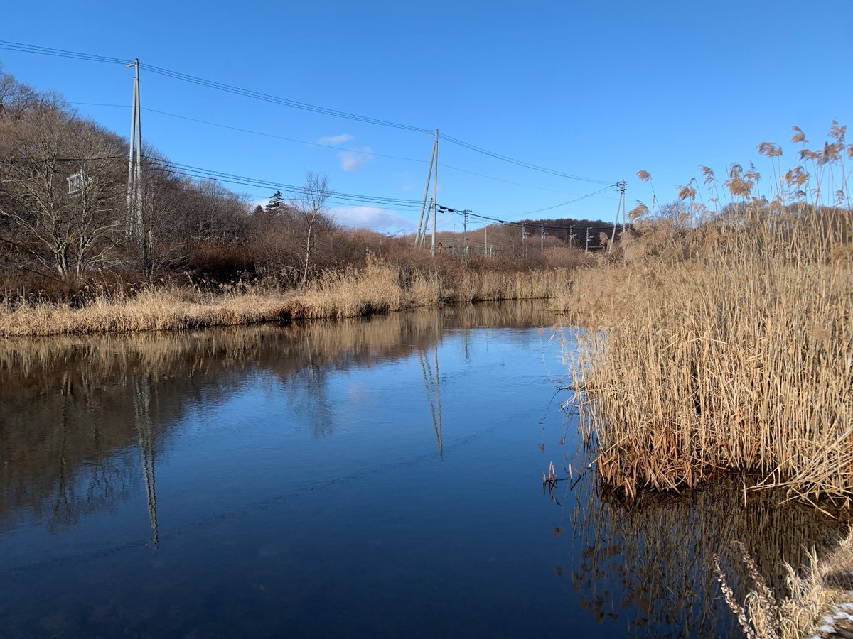 毎月美々川の水質と水鳥の調査をネイチャーセンターサポーターの皆さんに行っていただいています。
調査の水を取るためにバケツを投げる作業ひとつとってもコツが必要です。水質調査の項目も一つ一つ丁寧に調査いただいています。勇払原野を一緒に守ってくださる地域の皆さま、ありがとうございます。