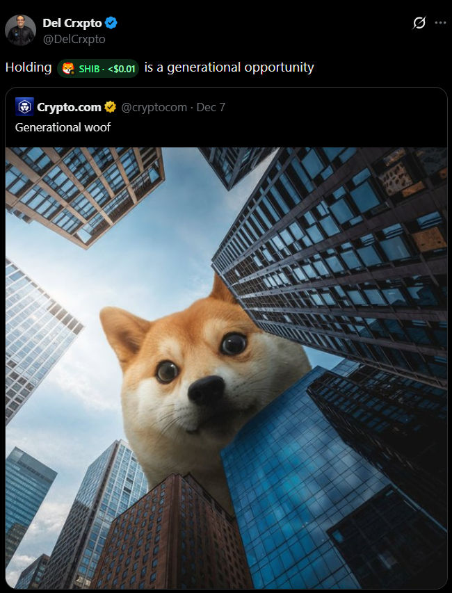 thecryptobasic's tweet photo. Crypto Expert Says Holding #ShibaInu Represents a Generational Opportunity.🧵🧵🧵 https://t.co/Rmlynl5O32