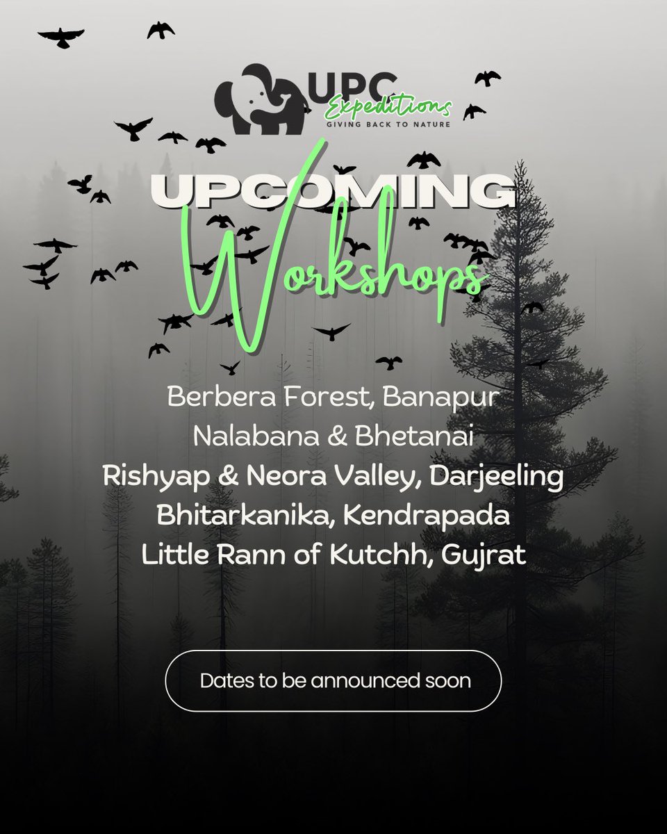 utkalapc's tweet photo. Join our action-packed Wildlife Photography Expeditions and dive into landscapes bursting with life, drama, and unforgettable moments! From rare birds to majestic mammals, we take you right where the magic happens.

The wild is calling, and your best shot is waiting! 

#wildlife https://t.co/6N296DsupL
