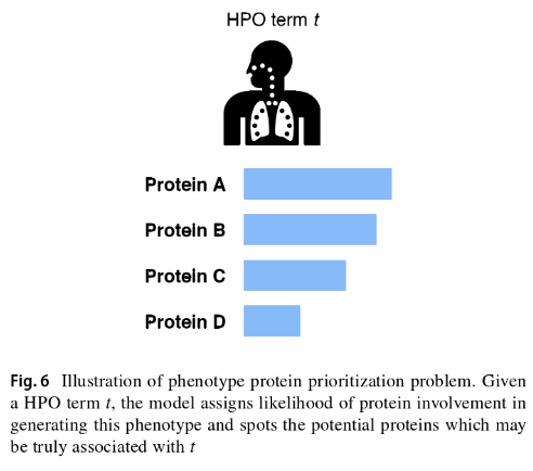 Phenomics_J's tweet image. 🚀 New insights into #ProteinPhenotype associations!@Phenomics_J  
🔍A groundbreaking review on #computational methods for predicting #HPO annotations of human proteins.🔑 Key findings:
✅ Reviewed methods for predicting #HPO annotations of novel proteins.
✅ Explored missing HPO…