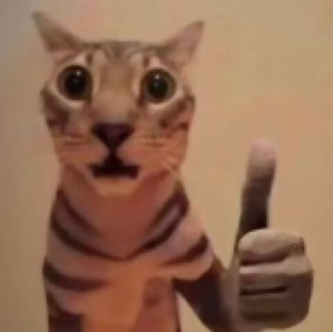 Je suis un idiot tweet media