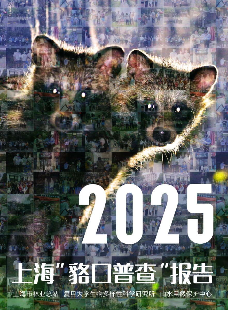 Shan Shui Conservation Center tweet media