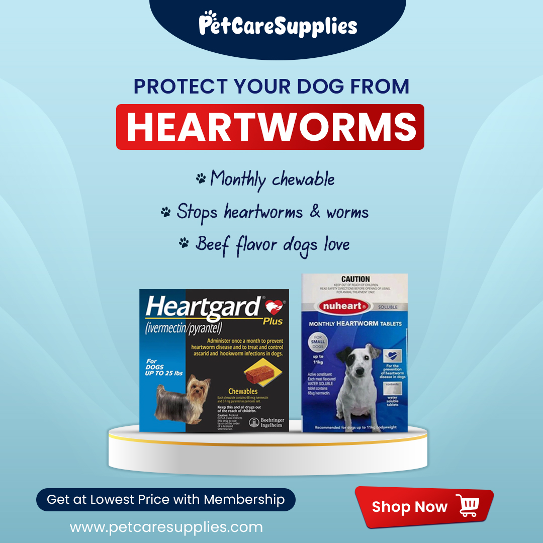 petcaresupply's tweet image. Heartworm protection your dog actually enjoys ❤️🦴 Monthly chew. Total protection. 🐾❤️

Shop heartworm care now! petcaresupplies.com

#PetCareSupplies #HeartwormProtection #DogHealth #DogCareTips #PetParents #DogLovers #PetDeals #PetWellness #HealthyPets #DogChewables