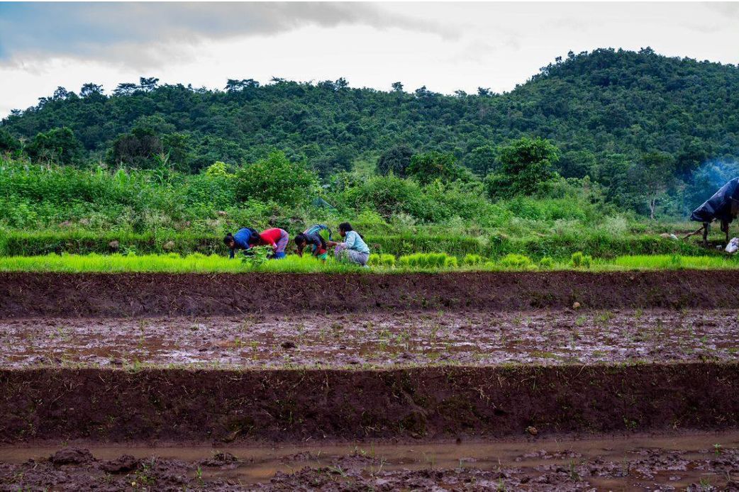 LibTech India tweet media