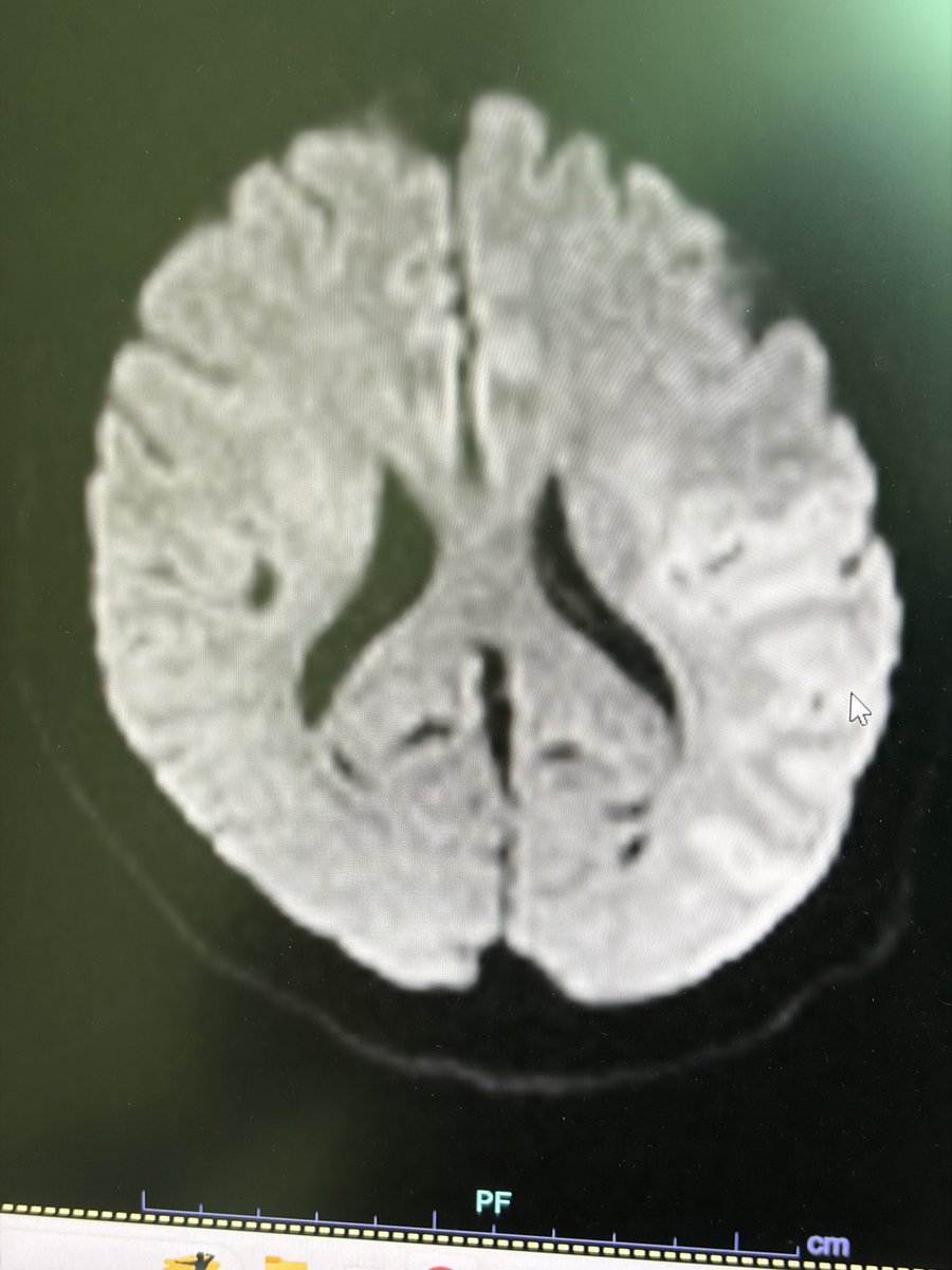 Manish Kumar Yadav tweet media