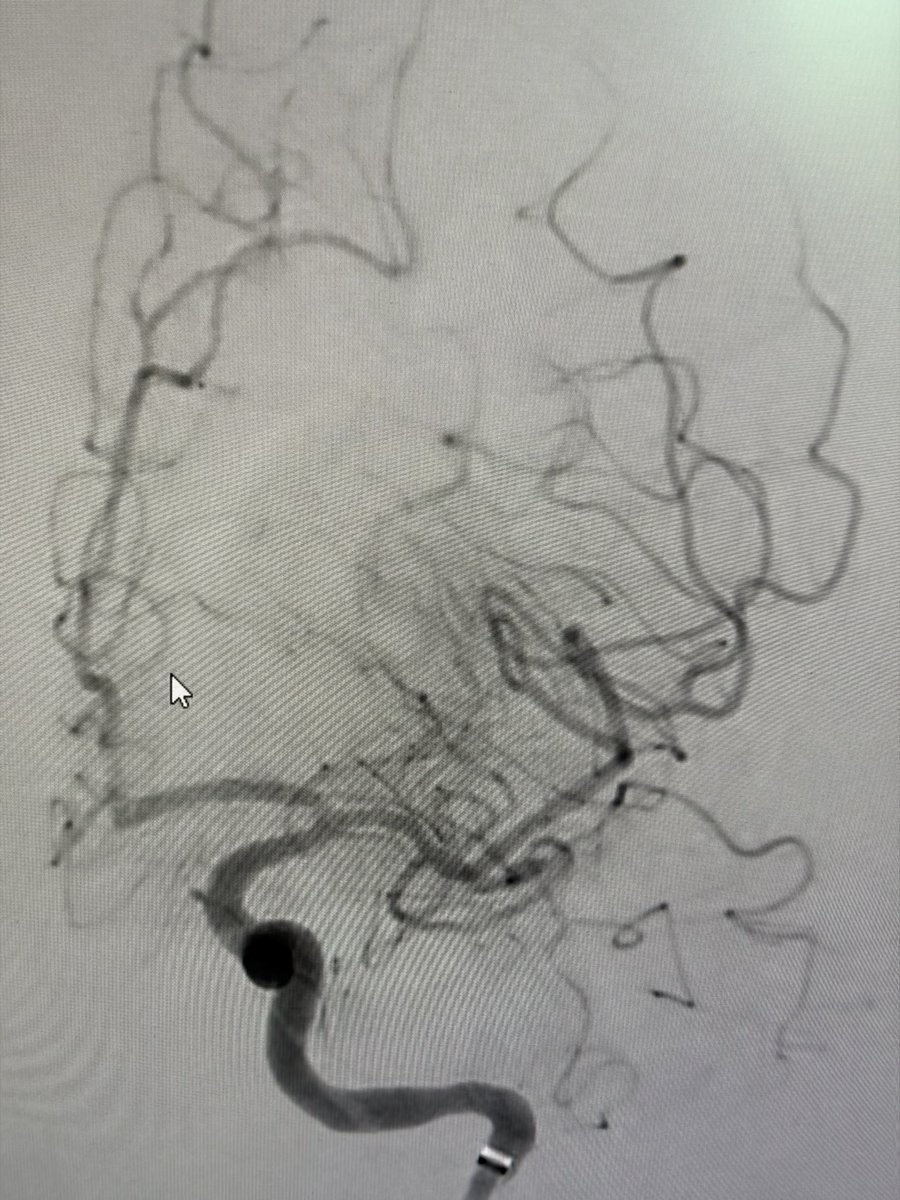 Manish Kumar Yadav tweet media