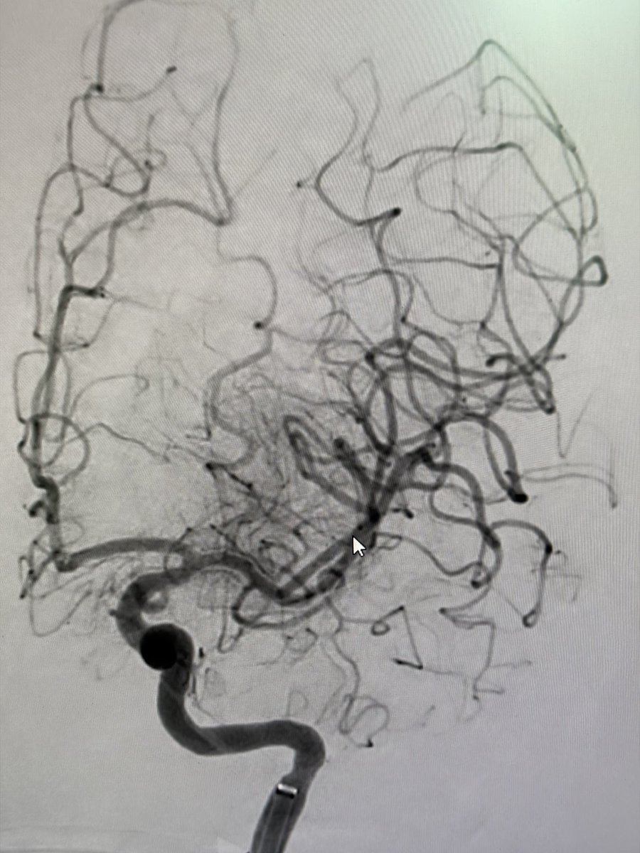 Manish Kumar Yadav tweet media