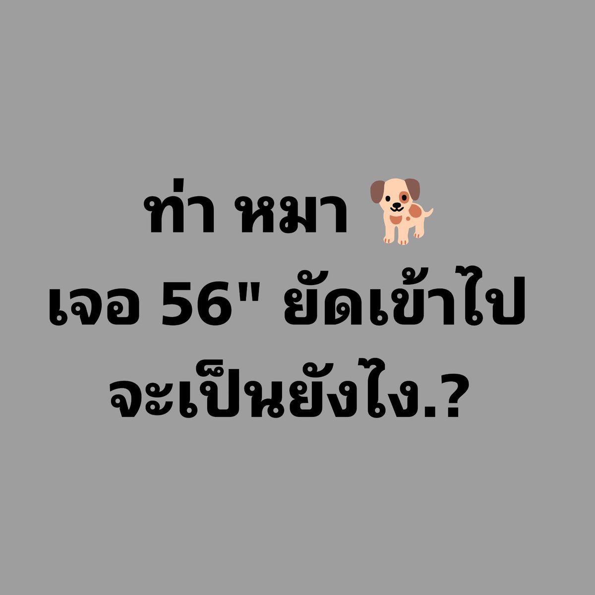 nok nissara tweet media