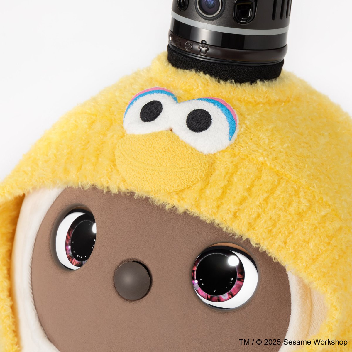 ラボット 新品 クッキーモンスター ふわもこパーカー セサミストリート