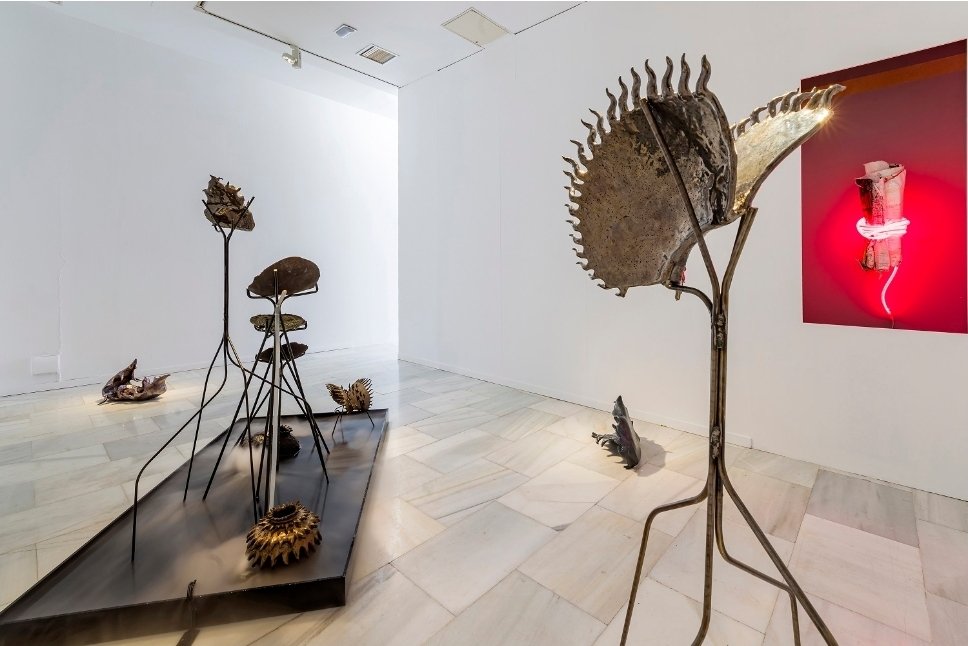 plataforma_PAC tweet media