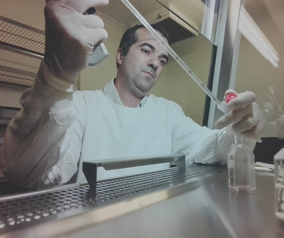 World Mosquito Program (WMP) tweet media