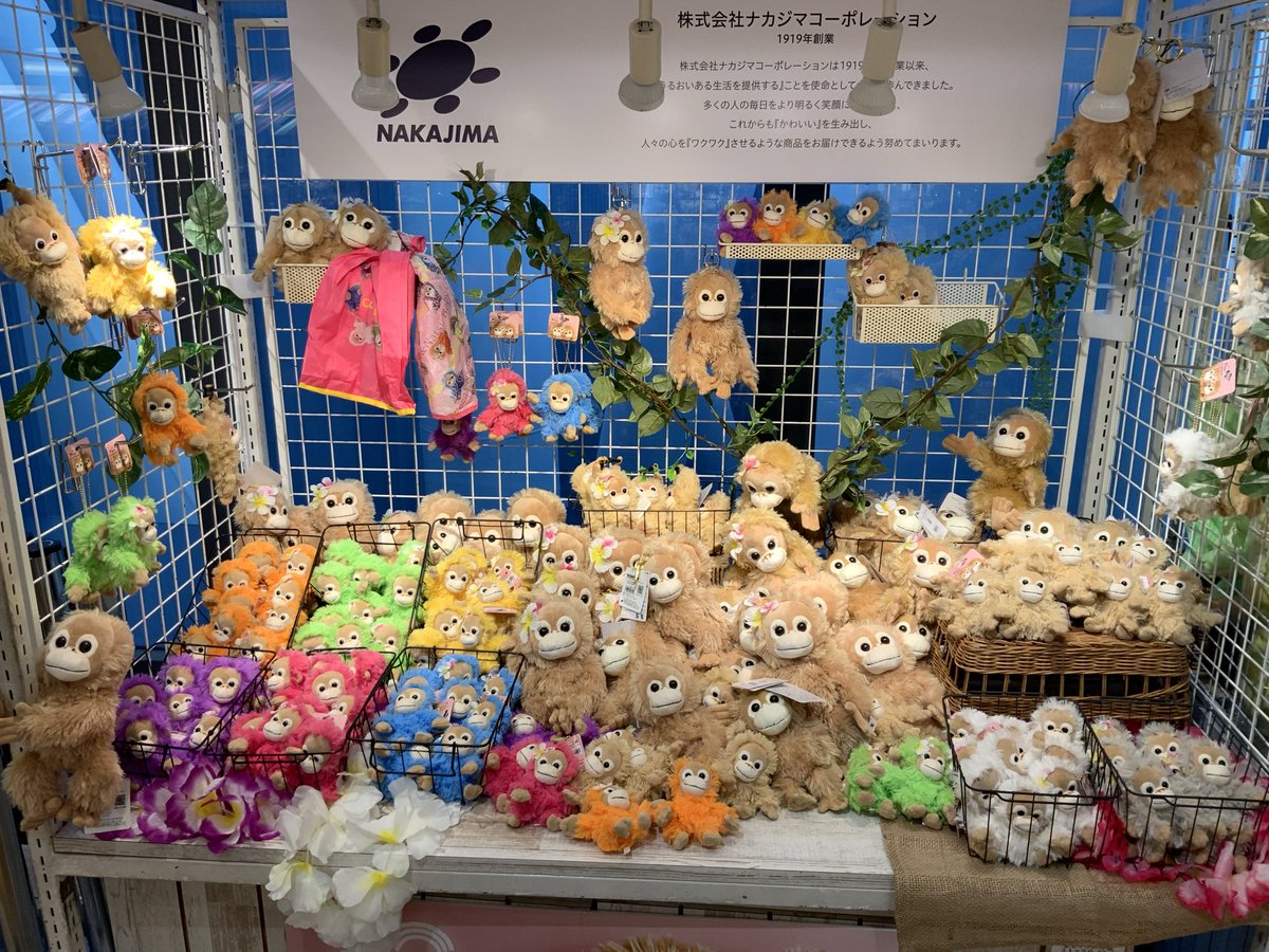 ぬいぐるみの童心【公式】🥺 (@Dousin_kawaii) on X