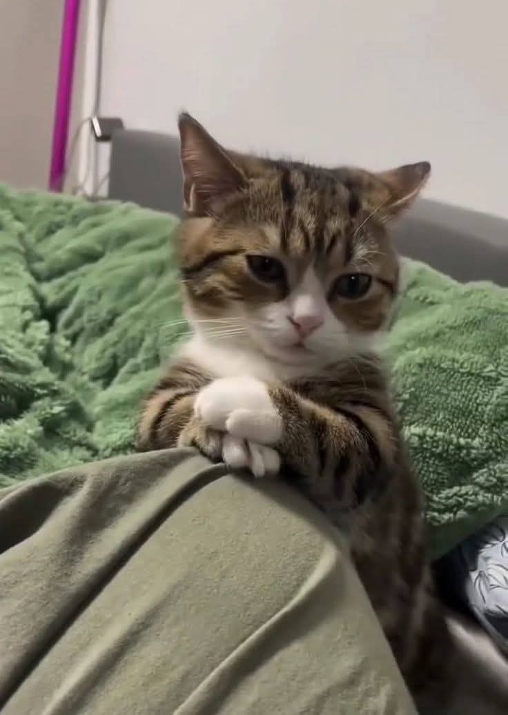 ممكن حياة تانية عشان الأولي مشخبط فيها كتير !!😁😒😹😹😹🙊🏃🏻‍♀️🏃🏻‍♀️🏃🏻‍♀️