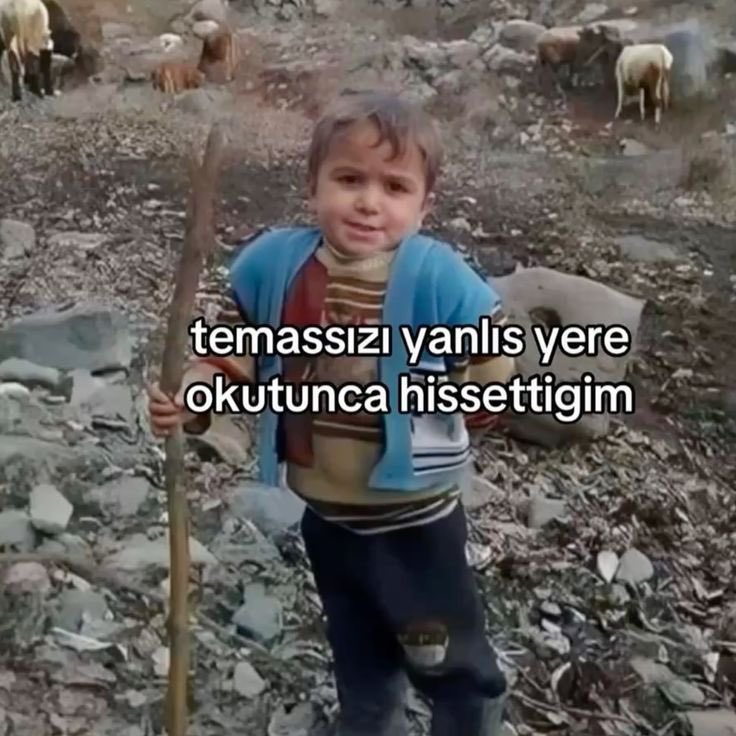 delinindelisi0's tweet photo. https://t.co/3tc9tubO5v