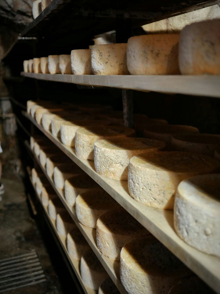 Artisan Food Trail tweet media