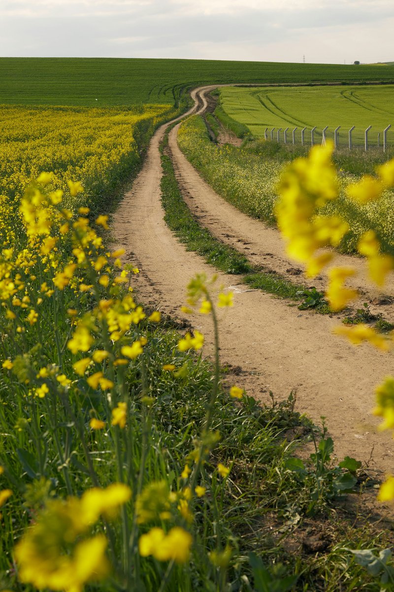 Artisan Food Trail tweet media