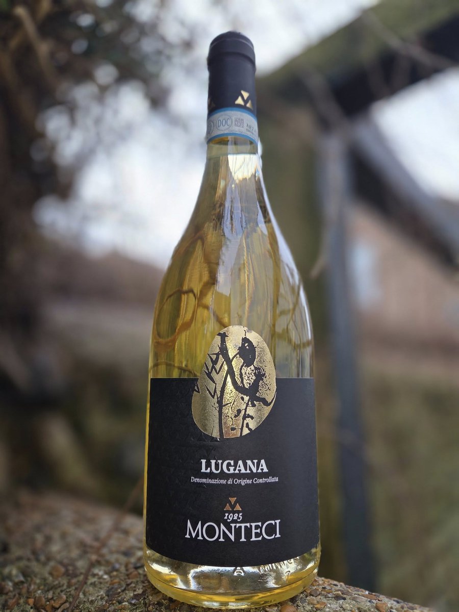 wine_quotes's tweet photo. Love Organic?
Monteci Lugana 2020 Italy

Buy Now &amp; Explore Organic Wines:
https://t.co/xHkZHB2Rn4

#nofussjustwines #whitewine #organic #biowines #bio #wines #wineonline #onlineshopping #wines #winemerchant #christmas #gifts #shopping #love https://t.co/qyVifuGYzE