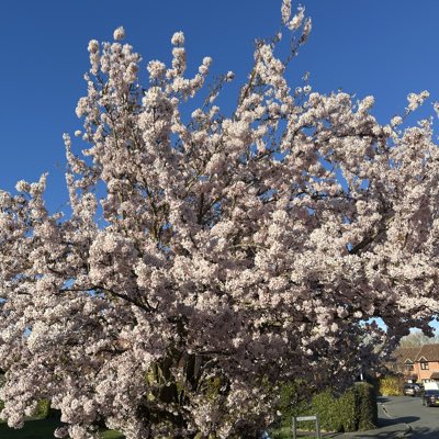 jpc1004's tweet photo. https://t.co/4CKFmKM8j7