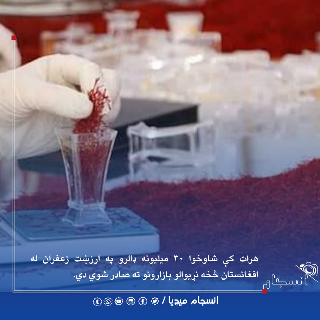 د هرات د سوداګرۍ او پانګونې خونې مسولین وايي، د روان لمریز کال په لومړیو نهو میاشتو کې، شاوخوا د ۳۰ میلیونه او ۳۵ زرو ډالرو په ارزښت زعفران له افغانستان څخه نړیوالو بازارونو ته صادر شوي دي.