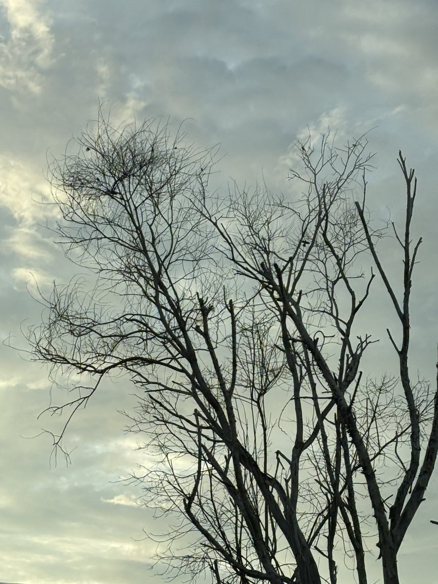 Taleofwave's tweet image. 