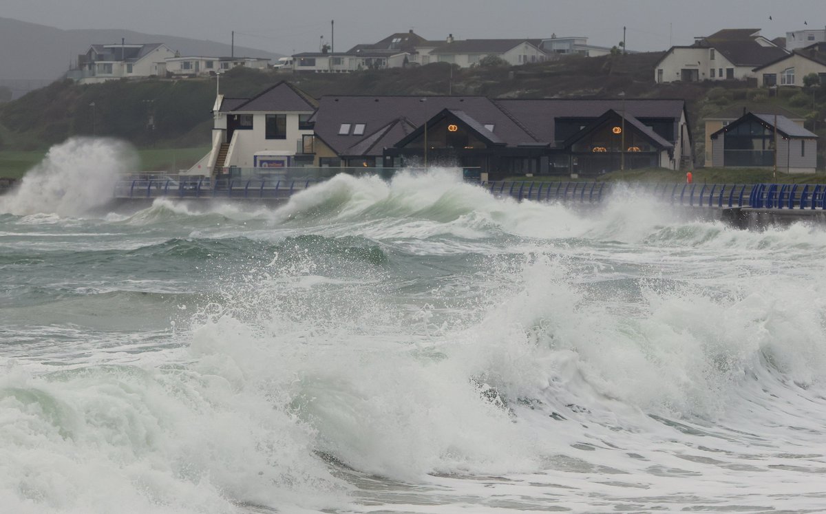 Anthony Ward tweet media