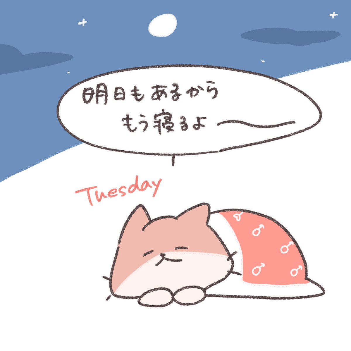 猫原のし🌟 (@nyan_boku) / Highlights / X