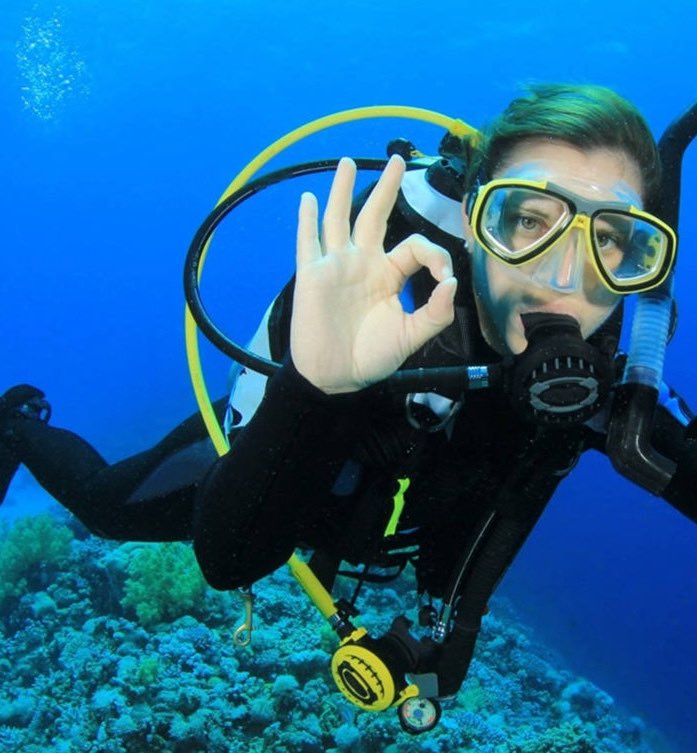 artillatron's tweet image. 