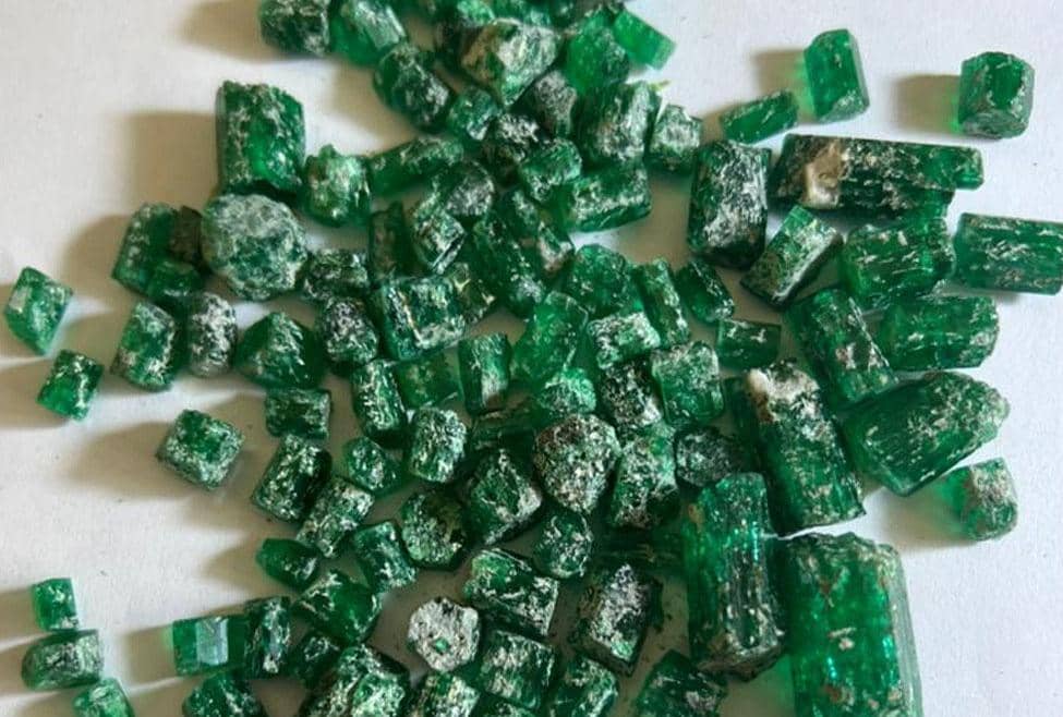 د پنجشېر ولايت مقام:

۵ زره او ۴۳۵ قیراطه استخراج شوي زمرد د داوطلبۍ له لارې په ۱۸۹ زره او ۹۹۰ ډالرو وپلورل شول.
یو شمېر بهرنیو سوداګرو چې په دې داوطلبۍ کې یې برخه اخیستې وه د د ياد ولایت د زمردو کانونو پر استخراج د پانګونې ژمنه وکړه.