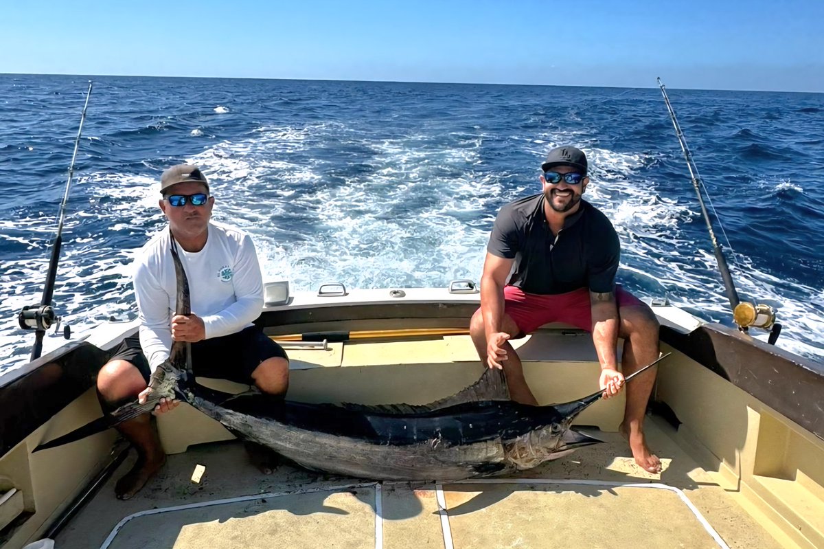 PuertoCharters's tweet image. Amazing Fishing in Puerto Vallarta Mexico 
travelvallarta.com