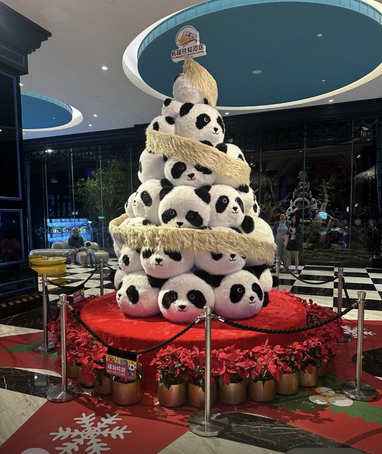 Sally Kerson 🪆 tweet media