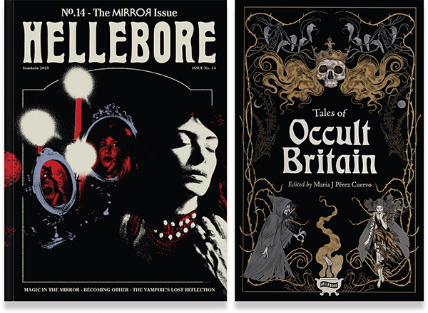 clintmarsh's tweet photo. LIMITED STOCK: Hellebore Books &amp; Zines including some discounted copies 🔮 - https://t.co/f96hhshGTj https://t.co/hBw3SCp4wN