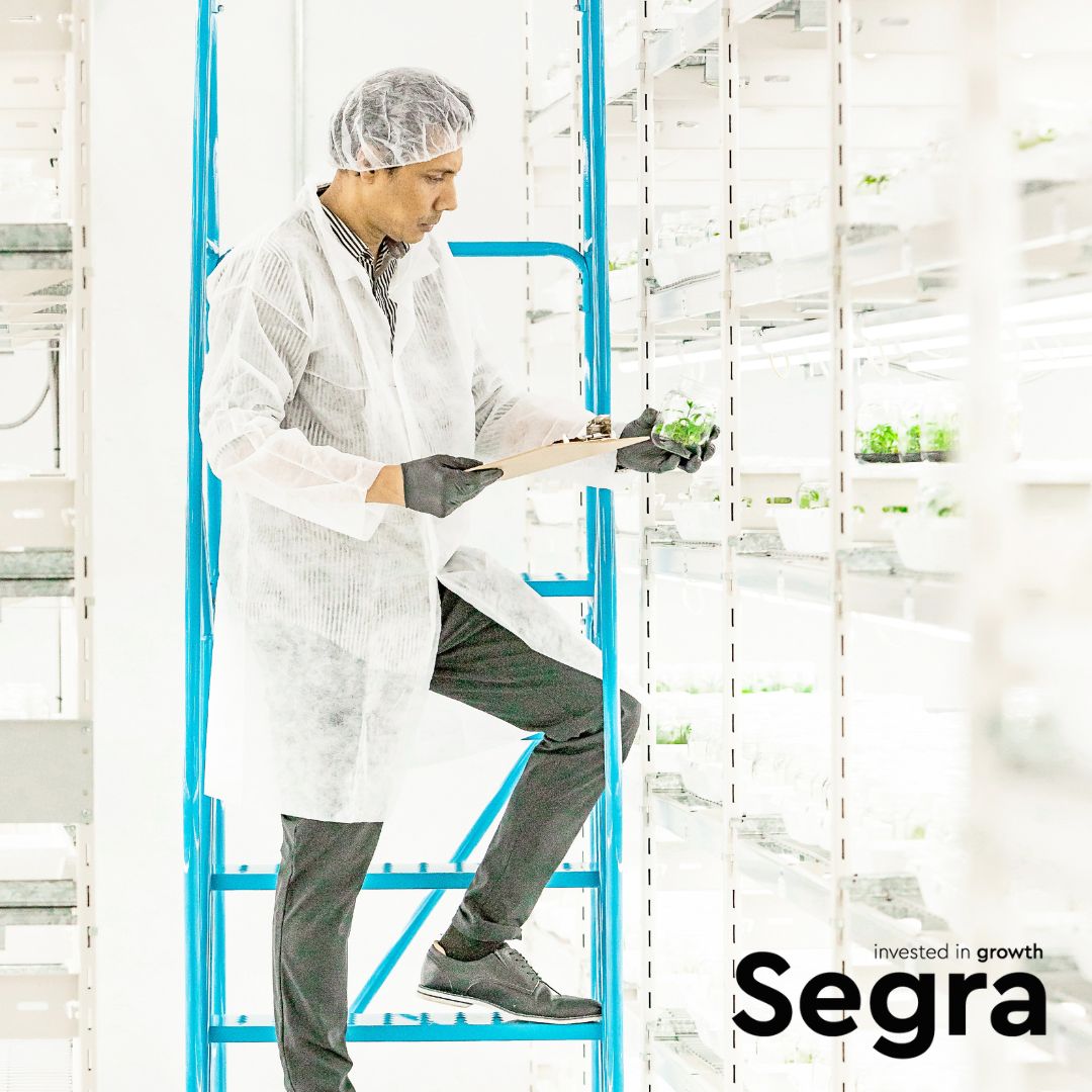 Plant tissue culture isn’t just propagation; it’s a controlled system that delivers consistent, pathogen-tested starting material. Segra uses sterile practices, DNA identity verification, and cannabis-specific micropropagation to protect cultivar integrity.