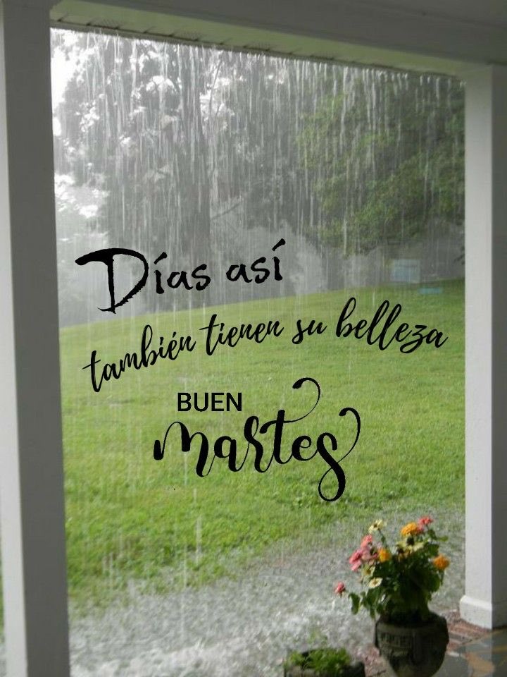 #BonitoYFelizDía ☕️✨😊⏰📚❄️🌧️