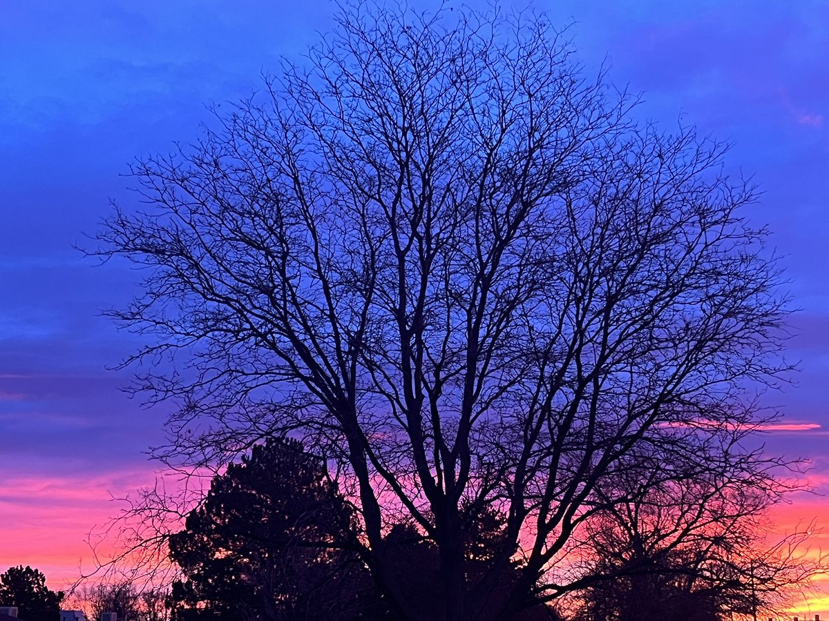 sharonudasin's tweet image. #Boulder sunrise run was particularly colorful today