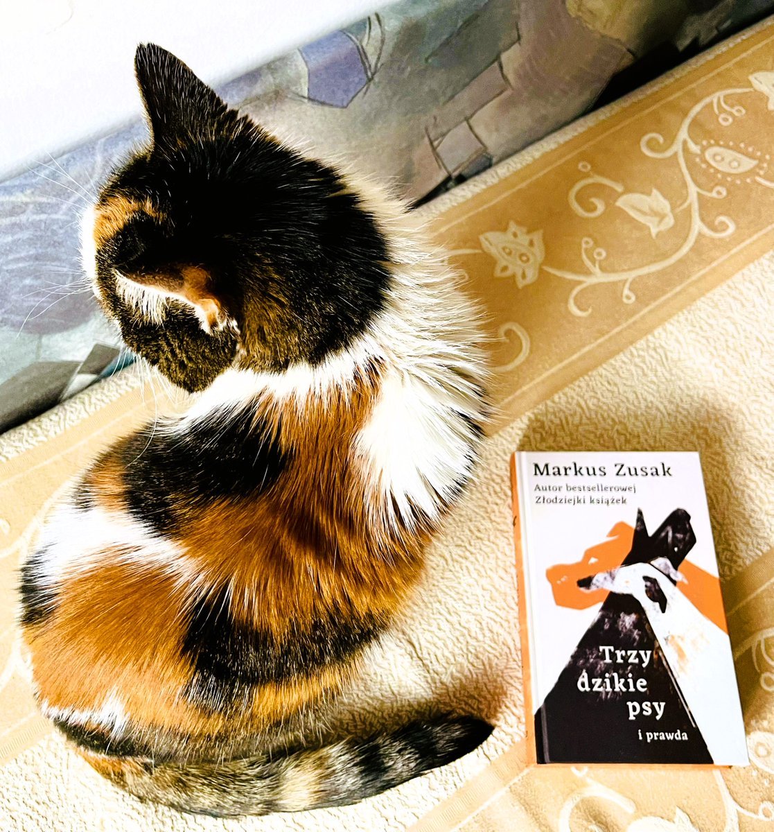 BPTarnobrzeg's tweet photo. #cytat Mieliśmy dwa koty, dwa psy i dwoje dzieci - z czego dzieci to była bułka z masłem. #Trzydzikiepsyiprawda #MarkusZusak #ZnakKoncept #ThreeWildDogsandtheTruth #MałgorzataKafel #readlist2025pl https://t.co/LBonTK71sI