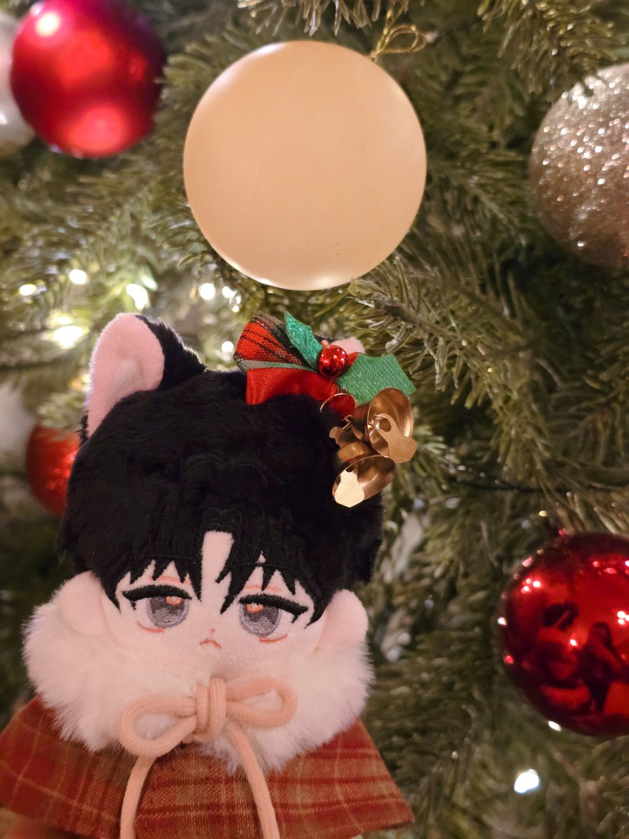 #와기솔음
🩷와기솔음 
다이소 천원짜리 망토 생각보다 가격대비 퀄리티가 괜찮아서 놀람..😮 
12월은 트리 꾸며진 카페들 구경하는 재미가 쏠쏠해요🎄