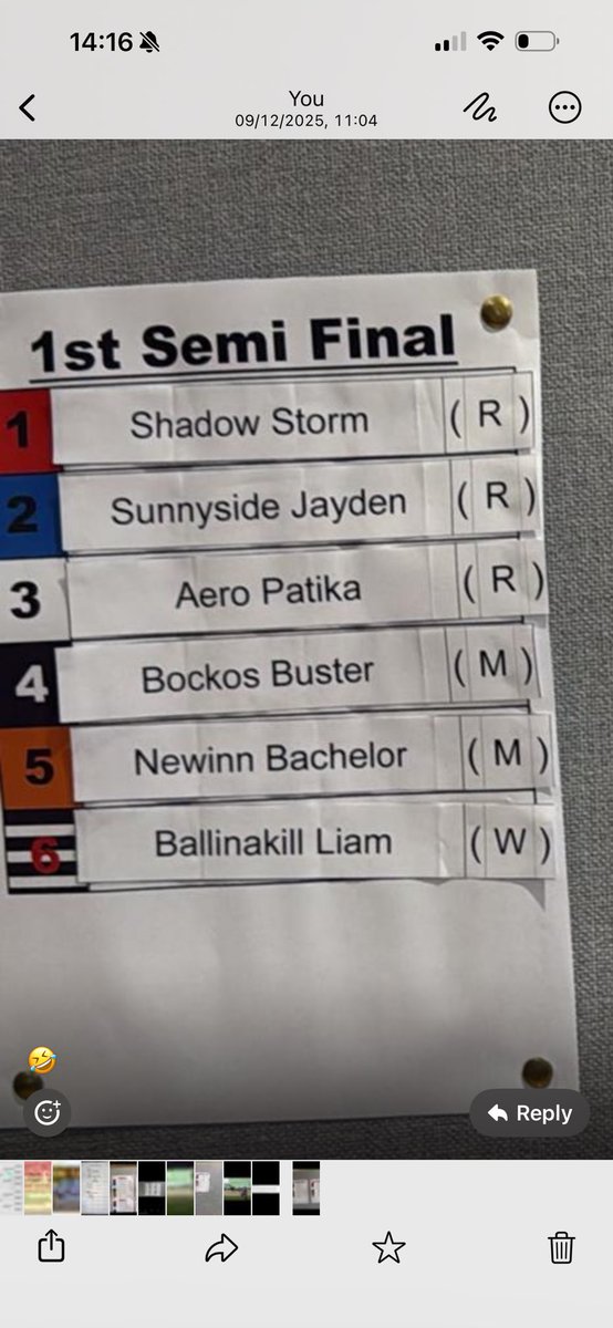 Bachelor got it all to do to qualify for the final of the national sprint ⁦<a href="/nottingham_dogs/">Nottingham Dogs</a>⁩ but what a race to be involved in