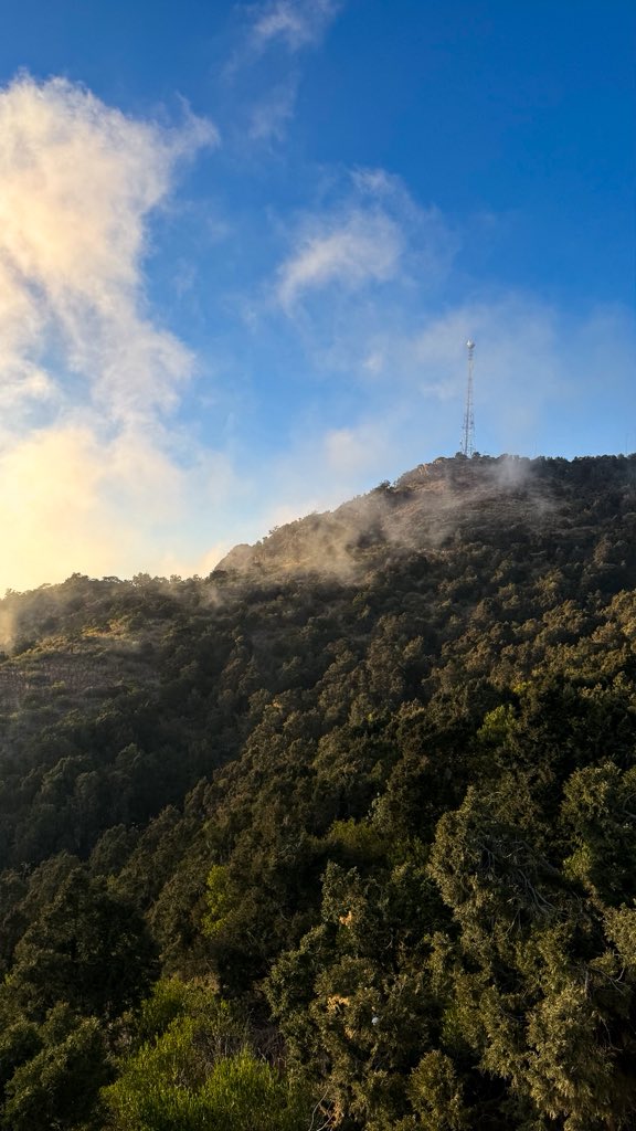 نورة (@n_oora202) on Twitter photo 