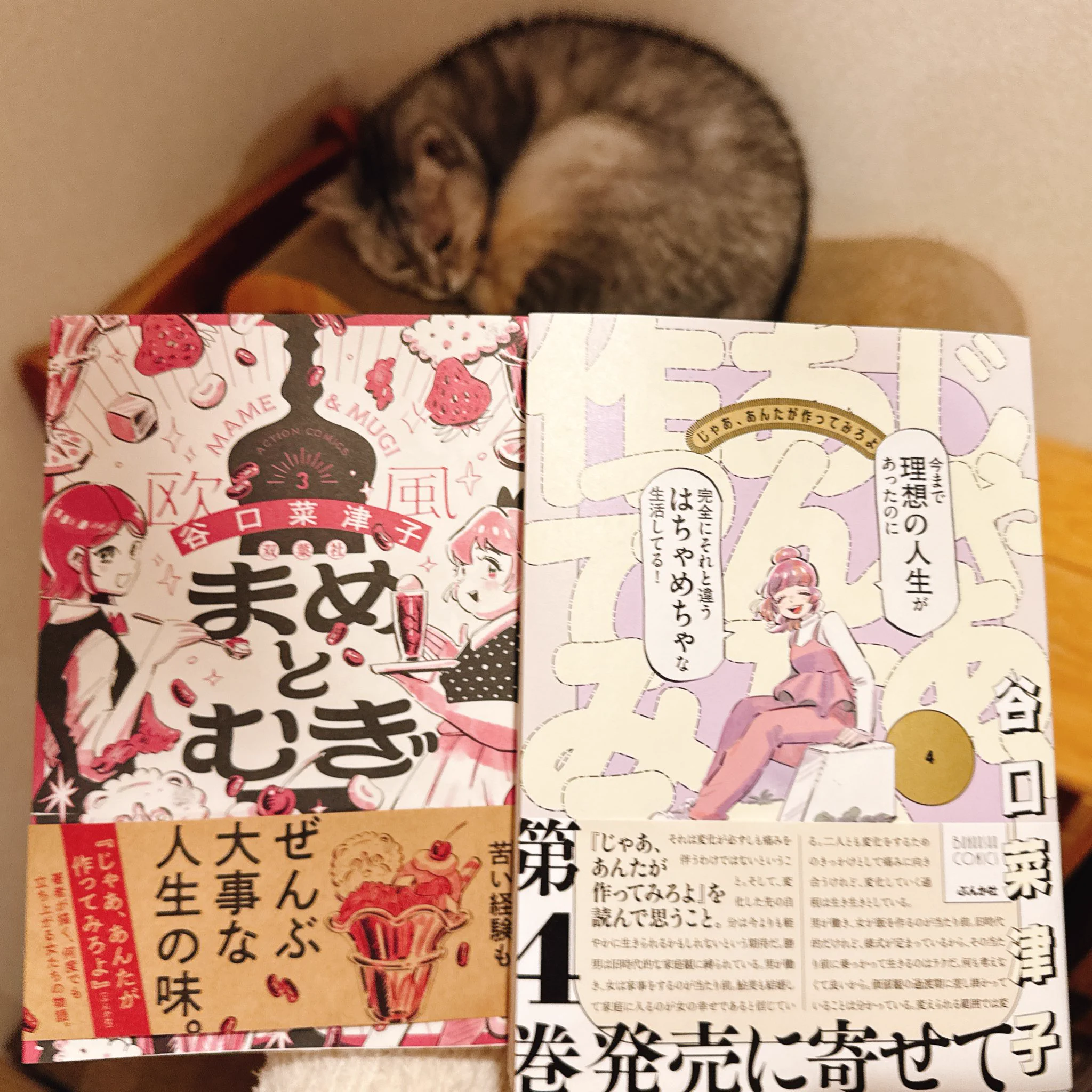 谷口 菜津子 Natsuko Taniguchi (@nco0707) / X