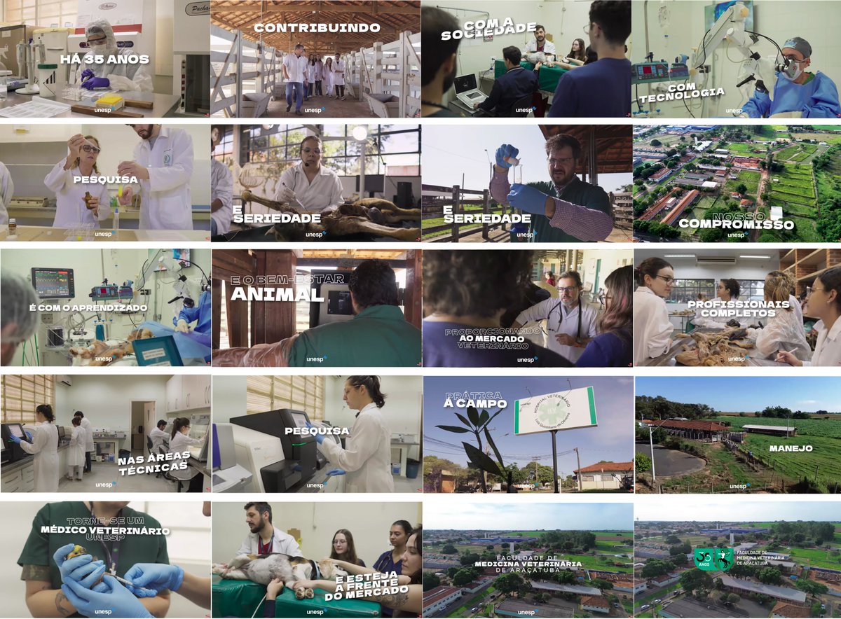 unespfmva's tweet image. ENSINO PÚBLICO GRATUITO E DE QUALIDADE: Faculdade de Medicina Veterinária Unesp Câmpus de Araçatuba: youtube.com/watch?v=2Pa_Hc… 
Assista ao vídeo no canal oficial de nossa Faculdade e inscreva-se também no canal!

#fmva35anos #UnespFMVA #fmvaunesp #fmva #fmv #araçatuba #aracatuba
