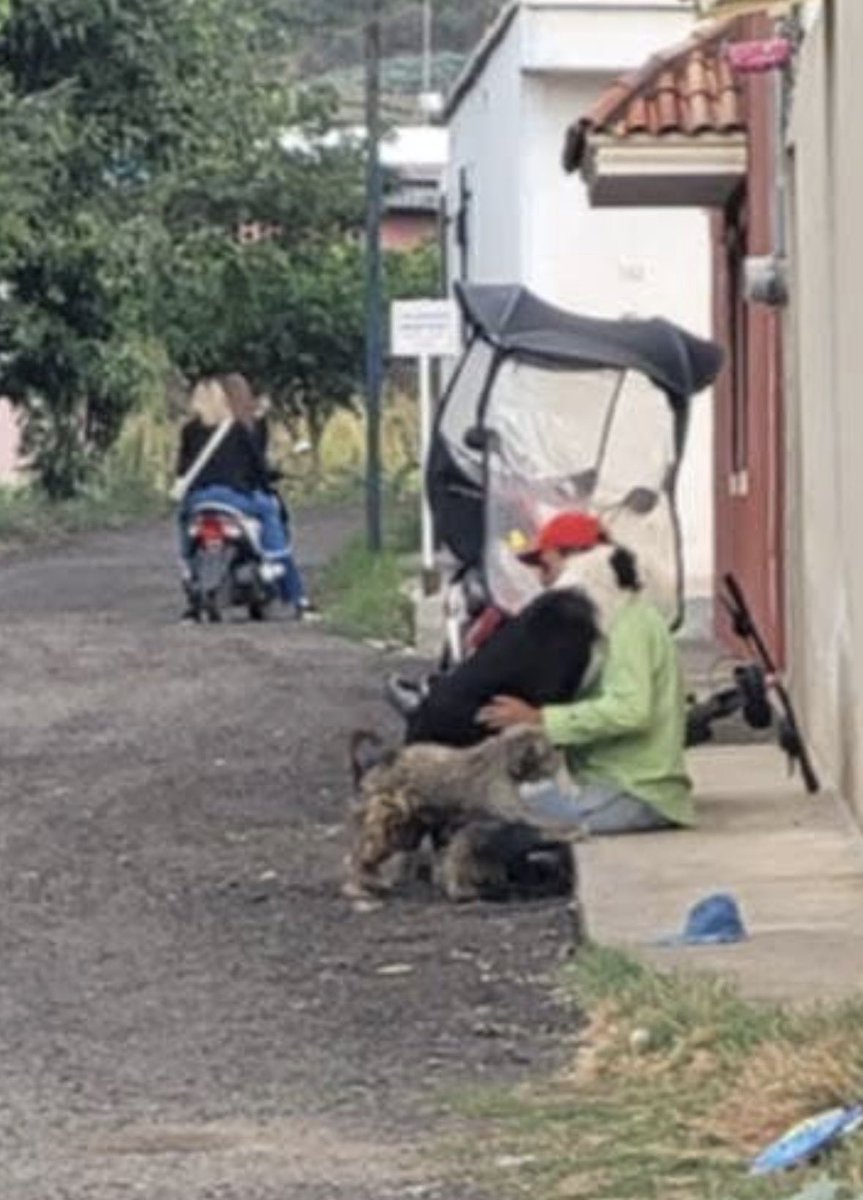 Plu2Desampara2's tweet photo. @MeganoticiasTEP @NayaritGobierno @NayaritFiscalia

 #Compartimos #Nayarit #Ixtlan 

No había querido meterme en éste tema por tan delicado qué es, ya qué él joven es de atención especial no se qué retraso tenga, ya se tiene meses sabiendo en él pueblo de #IxtlándelRio #Nayarit México hay un joven qué practica la Zoofilia (sexø con animales) empezó con caballos, me mandaron los videos pidiéndome ayuda, acudimos esa vez junto con Protección civil a platicar él tema con su padre, ya qué su madre desgraciadamente ya falleció, dijo qué si estaba medicado lo ve un siquiatra mostró pruebas y ya no quise mover él tema, hace semanas me dijeron qué ya empezó con perros y eso si me preocupa porqué a ellos si los puede lastimar, ya Fiscalia conoce ese tema y Seguridad Publica a sólo nadie sabe cómo accionar por su condición, igual su padre trabaja en la Escuela de Abogados y han de tener miedo a una denuncia, se qué muchas personas me van a acribilliar pero si me preocupa él bienestar de los animalitos, creo esos perros son de con Lucio qué también me los han reportado qué ni atención les pone, los caballos uno se ahogó en éstas tormentas y él otro con la presión qué se hizo una publicación él dueño lo vendió y a falta de caballos ya trae los perros, cuándo eso suceda por favor hablenle a la Policía si se detiene cuándo ve personas si tiene la capacidad mental en saber qué lo qué hace qué está mal.😥💔🐾